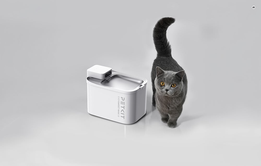 Kot obok inteligentnej fontanny PETKIT Eversweet Max 2 z aplikacją mobilną